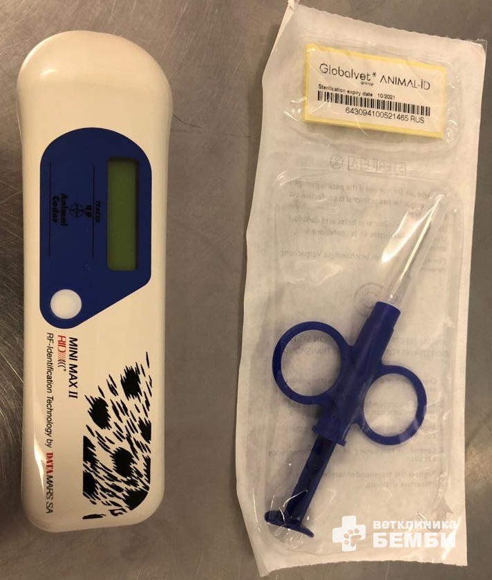 Чипирование животных Чипирование животных