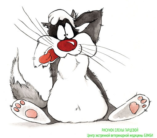 Стерилизация животных в ветеринарной клинике Бемби Стерилизация животных в ветеринарной клинике Бемби